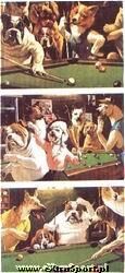 Plakat ''psy w grze''
